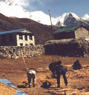 Bauernarbeit in Dingboche