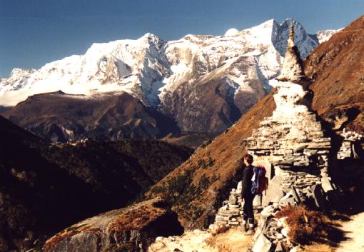Zwischen Pangboche und Tengboche